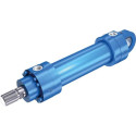 R900999021 HYDRAULIC CYLINDER CDH2 SERIES 3X Bosch Rexroth - Superior Quality