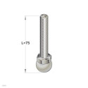 3842536811 AX M8 L75 STAINLESS Accesorii Profile Bosch Rexroth, calitate superioară